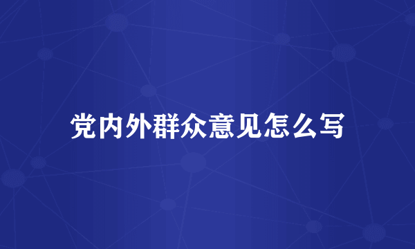 党内外群众意见怎么写