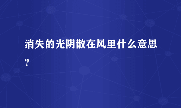 消失的光阴散在风里什么意思？