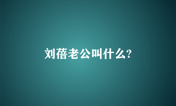 刘蓓老公叫什么?