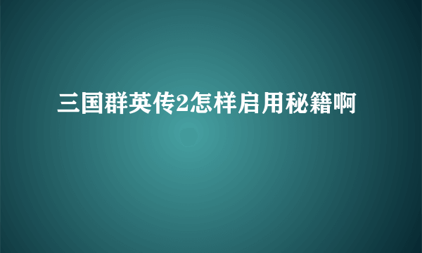 三国群英传2怎样启用秘籍啊