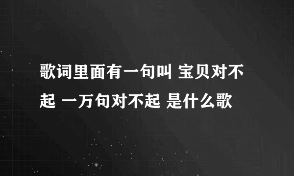 歌词里面有一句叫 宝贝对不起 一万句对不起 是什么歌