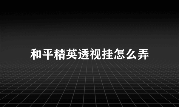 和平精英透视挂怎么弄