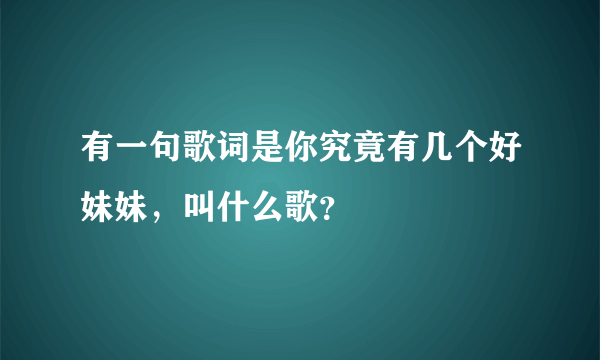 有一句歌词是你究竟有几个好妹妹，叫什么歌？