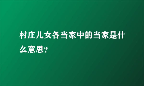 村庄儿女各当家中的当家是什么意思？