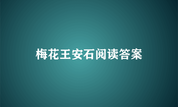 梅花王安石阅读答案