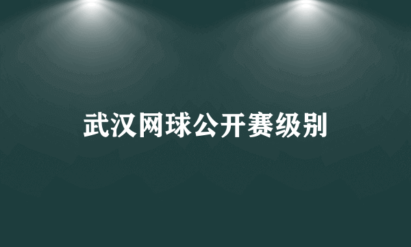 武汉网球公开赛级别