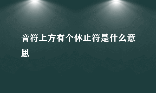 音符上方有个休止符是什么意思