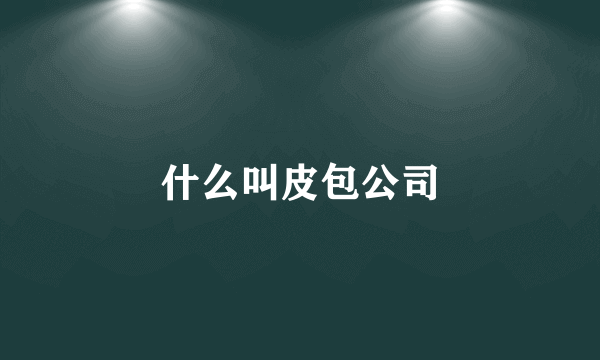 什么叫皮包公司