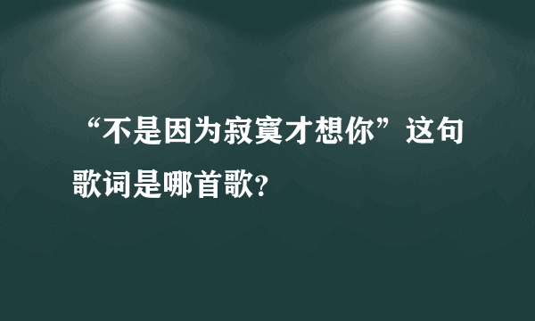 “不是因为寂寞才想你”这句歌词是哪首歌？