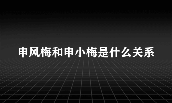 申风梅和申小梅是什么关系