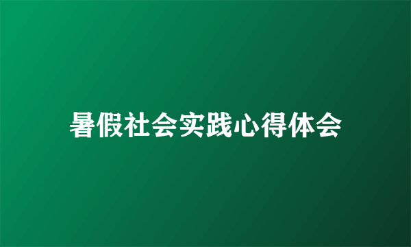 暑假社会实践心得体会