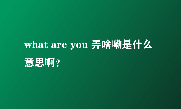 what are you 弄啥嘞是什么意思啊？