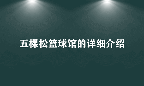 五棵松篮球馆的详细介绍