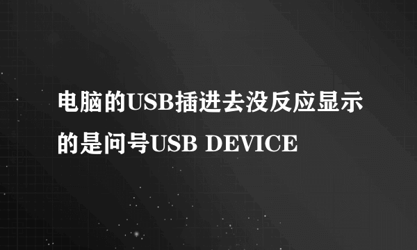 电脑的USB插进去没反应显示的是问号USB DEVICE