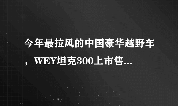 今年最拉风的中国豪华越野车，WEY坦克300上市售价17.58万起