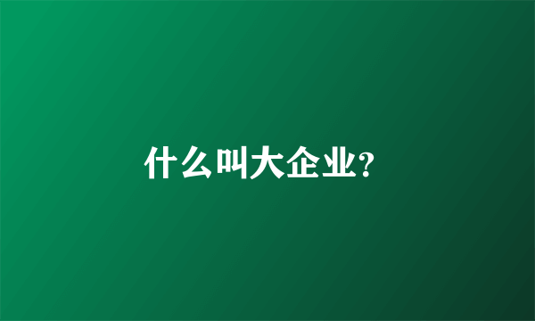 什么叫大企业？