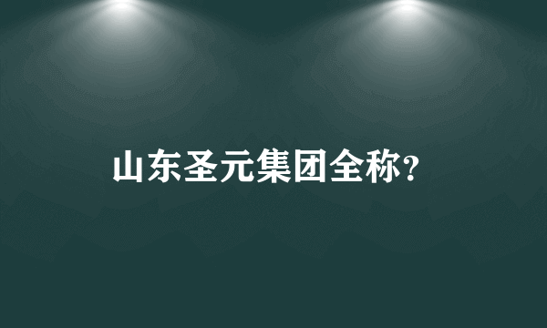 山东圣元集团全称？