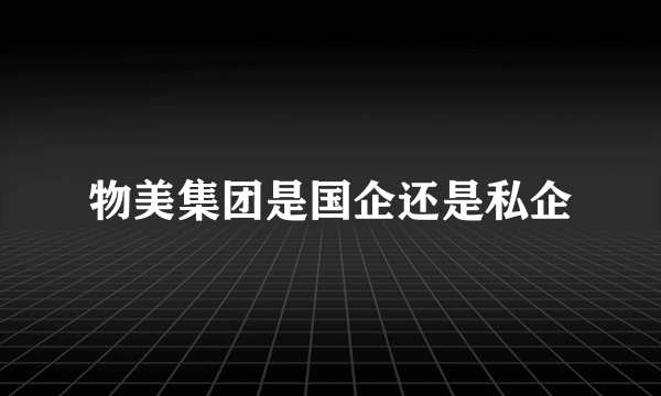 物美集团是国企还是私企