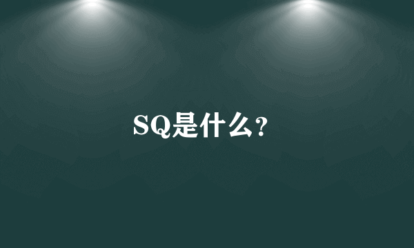 SQ是什么？