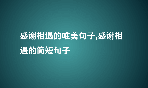 感谢相遇的唯美句子,感谢相遇的简短句子