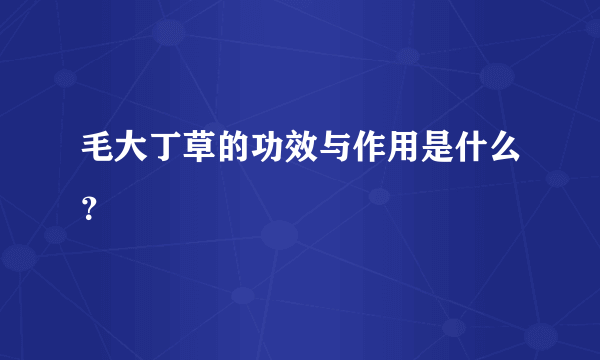 毛大丁草的功效与作用是什么？