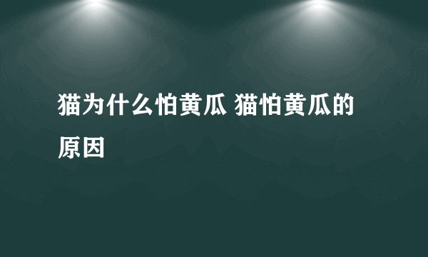 猫为什么怕黄瓜 猫怕黄瓜的原因