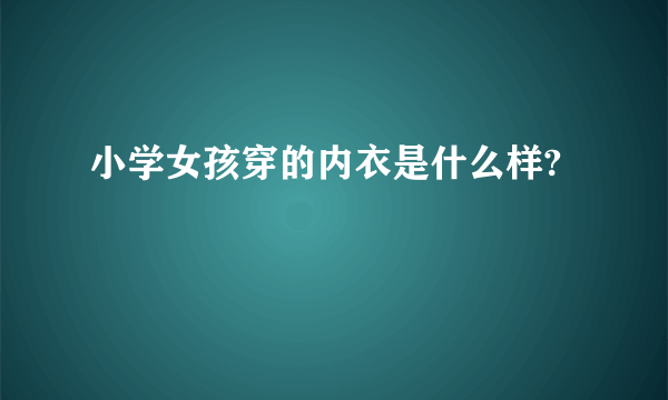 小学女孩穿的内衣是什么样?