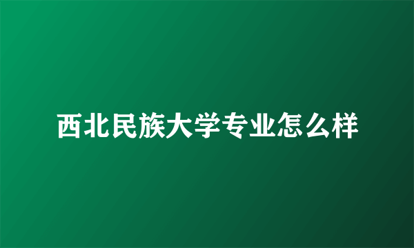 西北民族大学专业怎么样