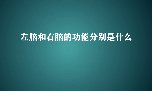 左脑和右脑的功能分别是什么