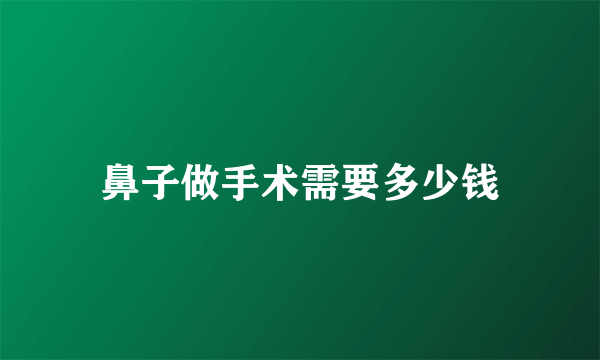 鼻子做手术需要多少钱