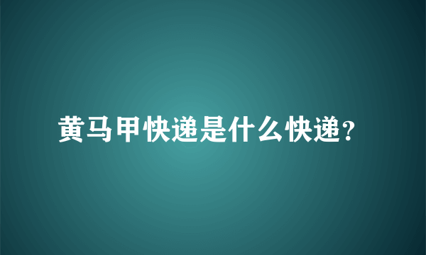 黄马甲快递是什么快递？