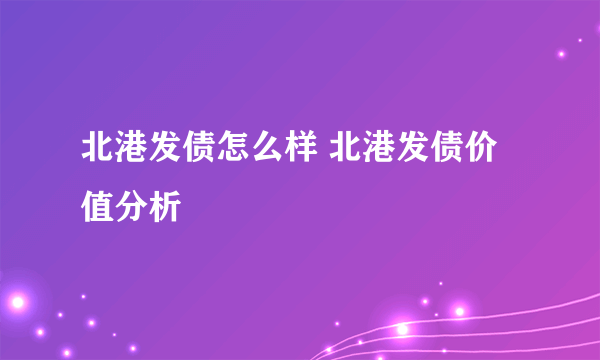 北港发债怎么样 北港发债价值分析