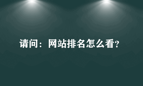 请问：网站排名怎么看？