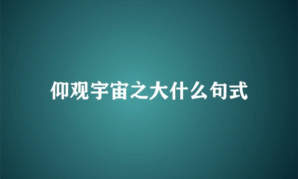 仰观宇宙之大什么句式