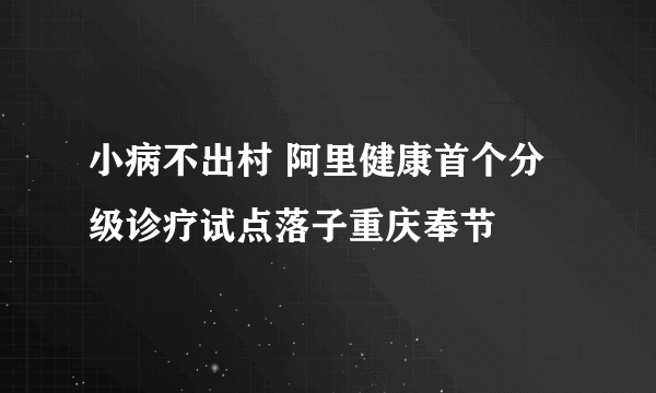 小病不出村 阿里健康首个分级诊疗试点落子重庆奉节