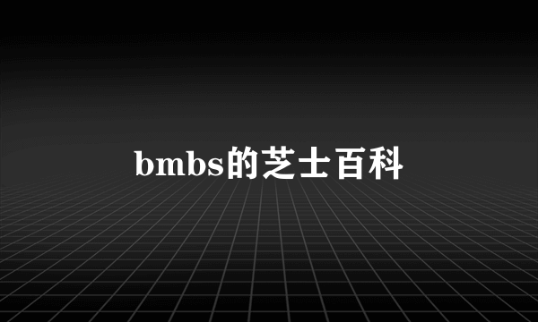 bmbs的芝士百科