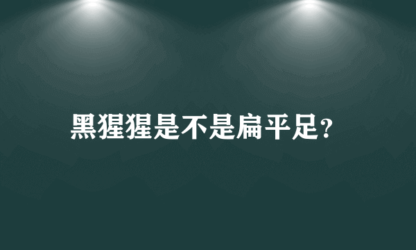 黑猩猩是不是扁平足？