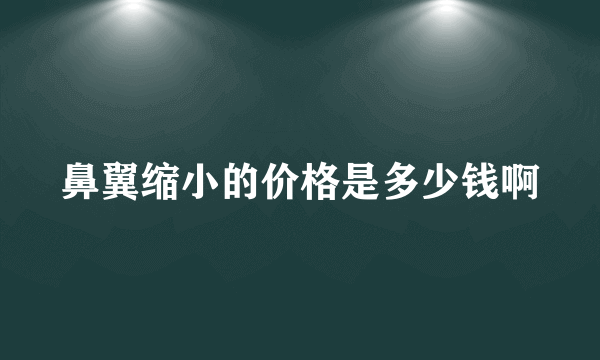 鼻翼缩小的价格是多少钱啊