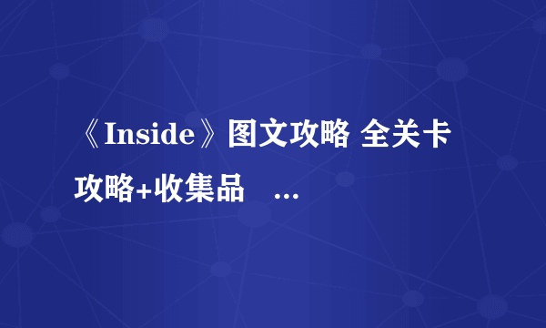 《Inside》图文攻略 全关卡攻略+收集品   【游侠攻略组】