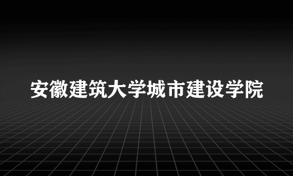 安徽建筑大学城市建设学院