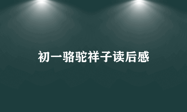 初一骆驼祥子读后感