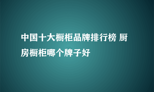 中国十大橱柜品牌排行榜 厨房橱柜哪个牌子好