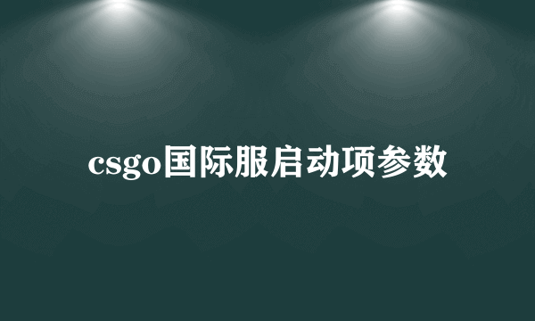 csgo国际服启动项参数