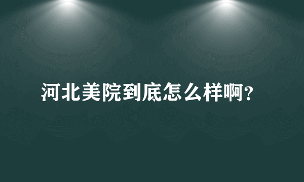 河北美院到底怎么样啊？