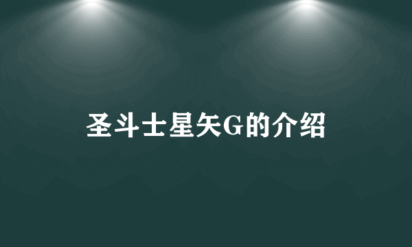 圣斗士星矢G的介绍