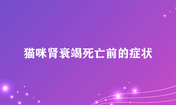 猫咪肾衰竭死亡前的症状