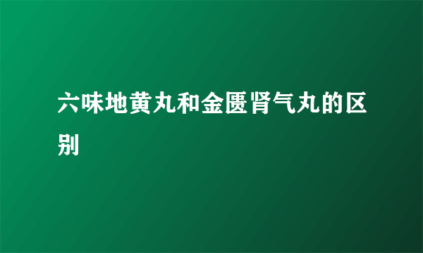 六味地黄丸和金匮肾气丸的区别