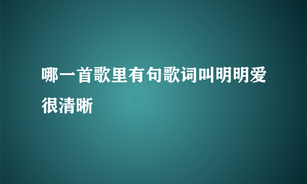 哪一首歌里有句歌词叫明明爱很清晰