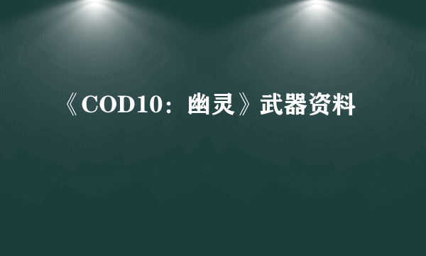 《COD10：幽灵》武器资料