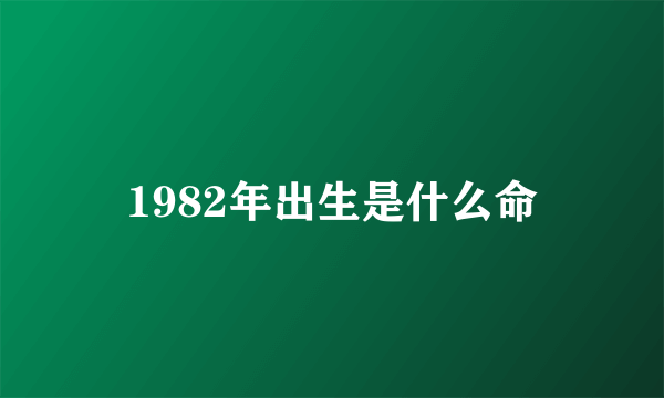 1982年出生是什么命